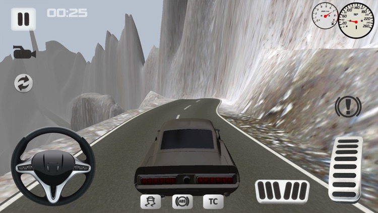 Offroad Car Simulator