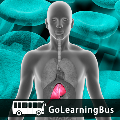 Learn Hepatitis and Diabetes by GoLearningBus