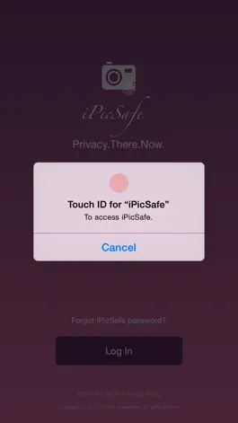 Game screenshot iPicSafe apk