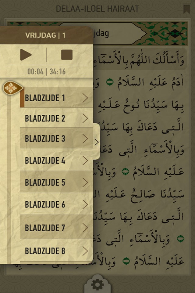 Delailül Hayrat screenshot 4