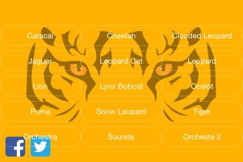 Wild Cats Orchestra Premium screenshot 2