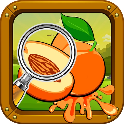 Fruit Find Icon