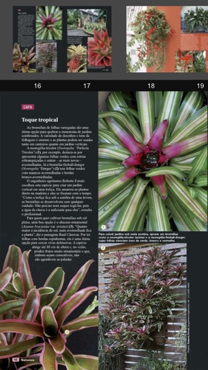 Revista Natureza Brasil(圖4)-速報App