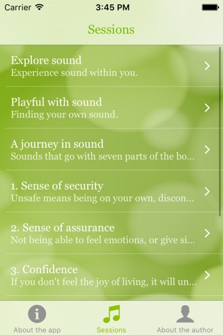 Soundness screenshot 2