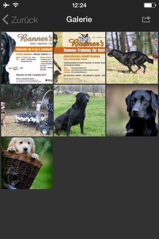 Banner’s Dogschool screenshot 2