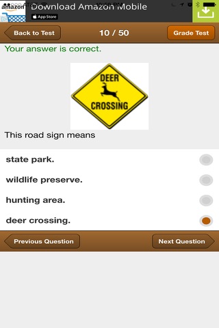 Michigan Basic Driving Test screenshot 4