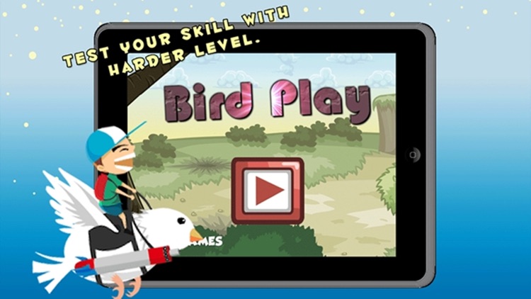 Hunter crazy birds shooting game