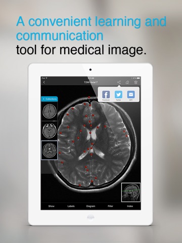 Medical Imaging screenshot 3