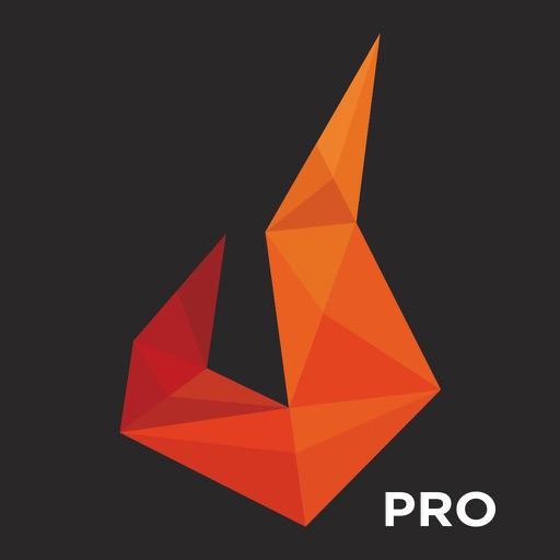 ReLightPro - Powerful Photo Filters icon