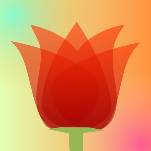 LiveDOF - Blur Tiltshift Animation Creator