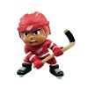 FanGear for Detroit Hockey - Shop for Red Wings Apparel, Accessories, & Memorabilia