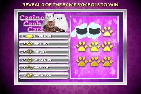 Casino Cash Cats screenshot 2