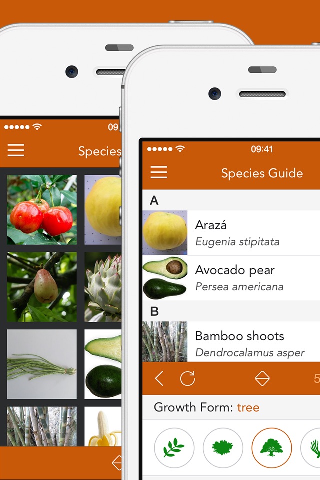 Exotic Fruits and Vegetables 2 PRO - NATURE MOBILE screenshot 2