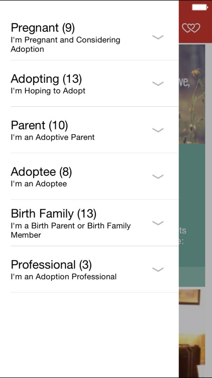 Adoption.com