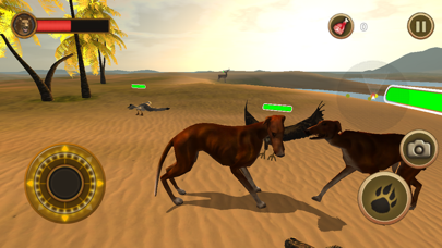 Bird Dog Chase Simulator screenshot 4