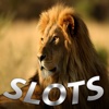 Aaaaaaaaaaha!!! Safari Animal Slots-Free Casino Games