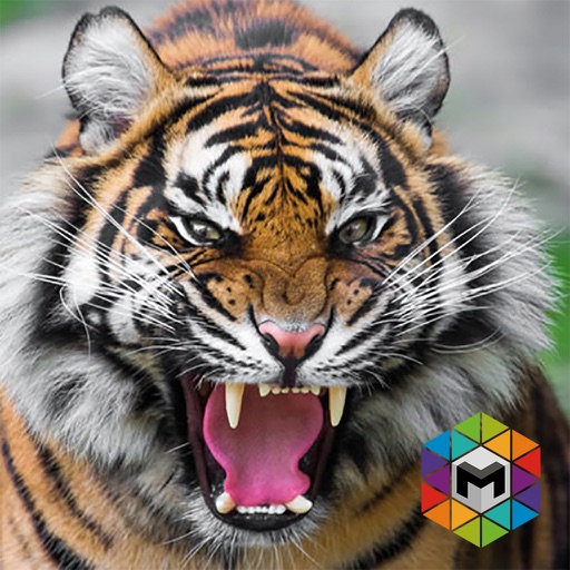 My Tiger Simulator icon