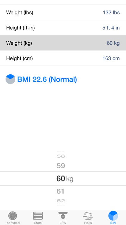 The OB Wheel Pro 7 - Gestational Age Calculator screenshot-4