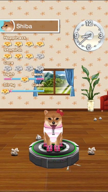 My Dog My Style