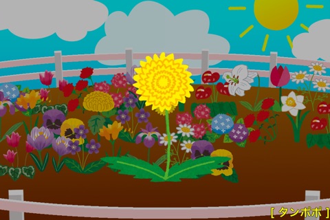 FlowerTap screenshot 3