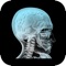 Through this free app and a simple printed image, Anatomy 4D transports students, teachers, medical professionals, and anyone who wants to learn about the body into an interactive 4D experience of human anatomy