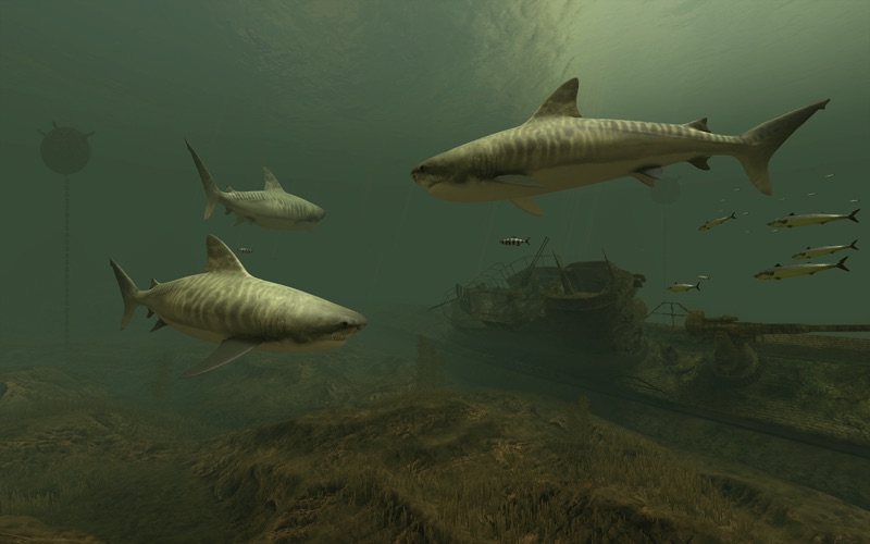Sharks_3D.app caprure 4 4_Sharks_3D.jpg