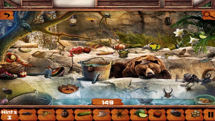 Hidden Objects:Guess the animal