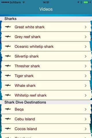 Shark Diving screenshot 3