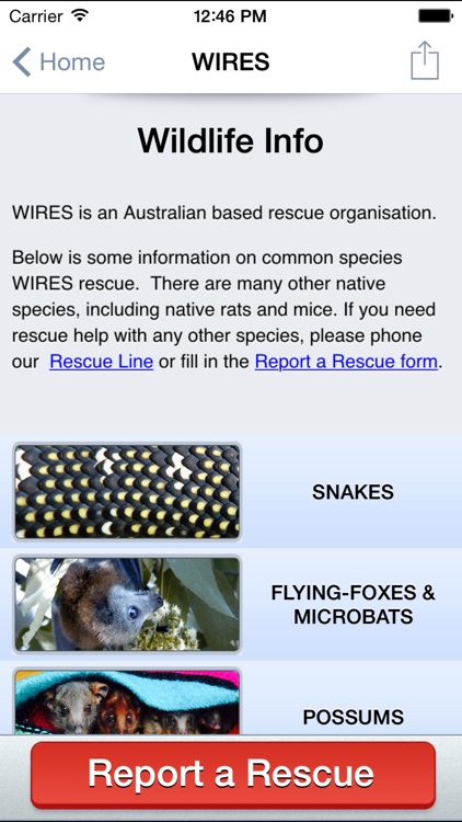 WIRES Wildlife Rescue App screenshot-3