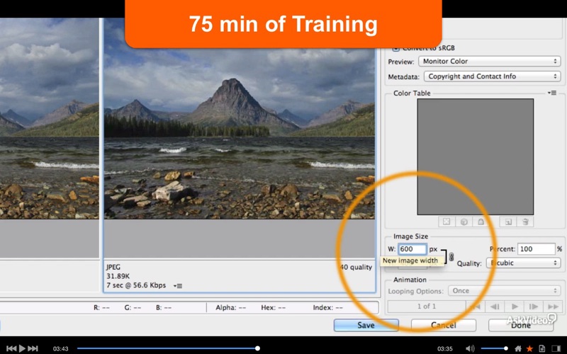 Add Images to Web Pages thumbnail 2