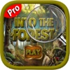 Hidden Object - Into The Forest Mysteries