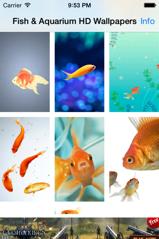 Aquarium Wallpapers-Fish Walls screenshot 2