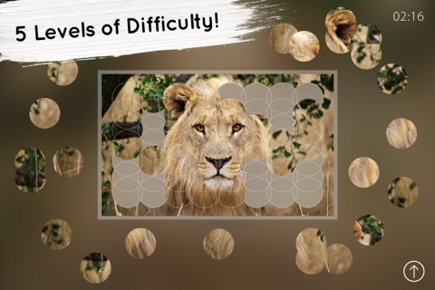 Venn Lions: Overlapping Jigsaw Puzzles screenshot 3