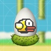 Birds Egg