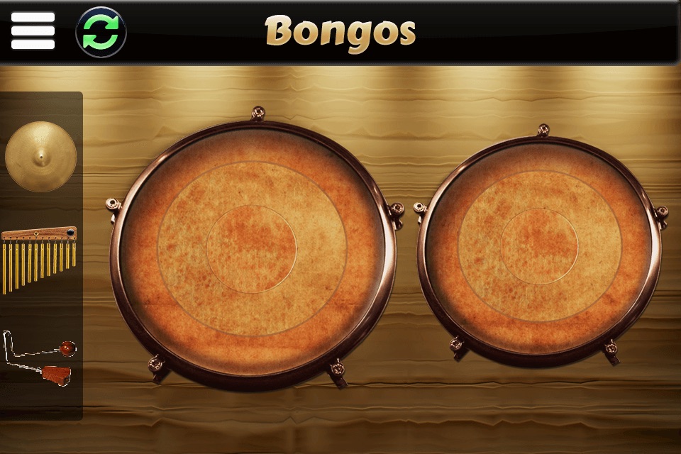 Garage Virtual Congas & Bongos screenshot 2