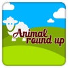 Animal Round Up
