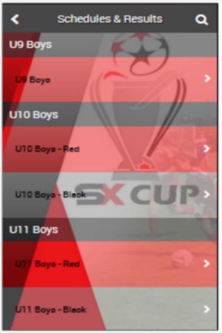 SX Cup screenshot 3