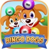 Bingo Dogs - Free Bingo Casino Game