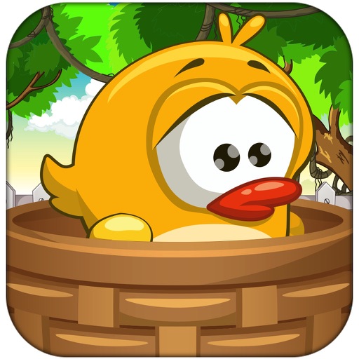 Chicken In Basket iOS App