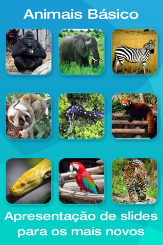 Safari and Jungle Animal Picture Flashcards for Babies, Toddlers or Preschool screenshot 2