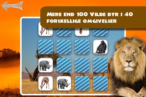 Free Memo Game Wild Animals Photo screenshot 4