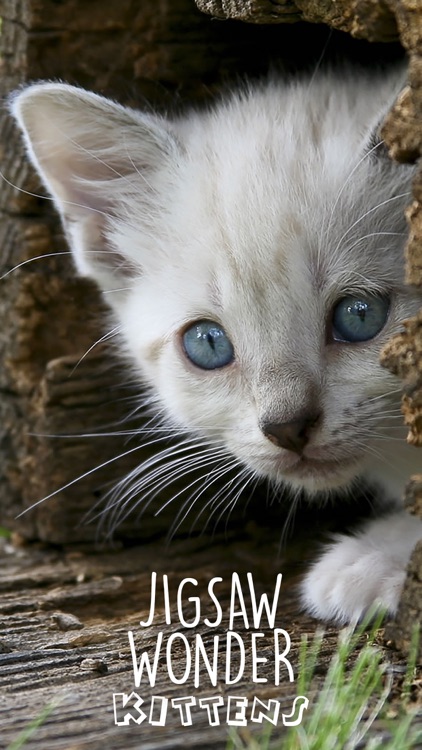 Jigsaw Wonder Kittens Puzzles for Kids screenshot-4