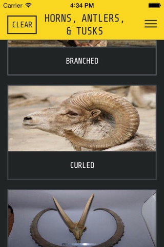 Wildlife Alert screenshot 3