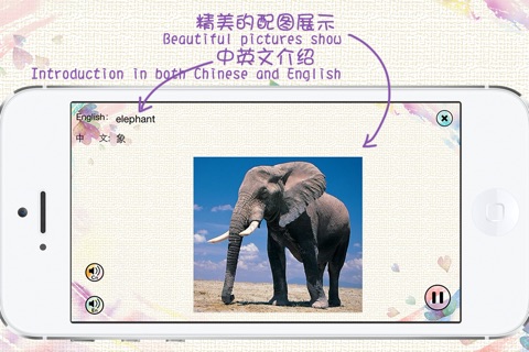 Chinese and English Vocabulary: audio and pictorial flashcards for kids screenshot 3