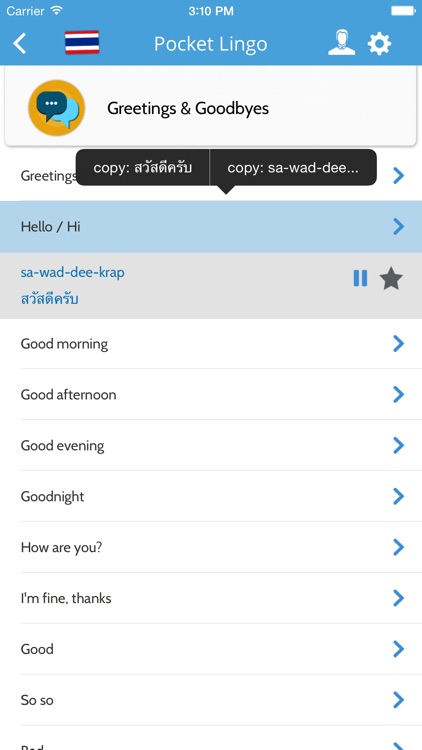 Thai Pocket Lingo - for trips in Bangkok, Chiang Mai, Thailand screenshot-3