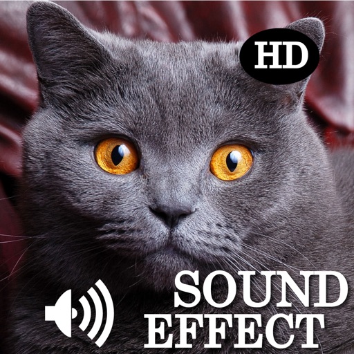 Animal Epic Sounds Board HD icon