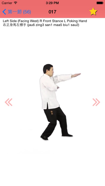 Wing Chun Biu Zi Form