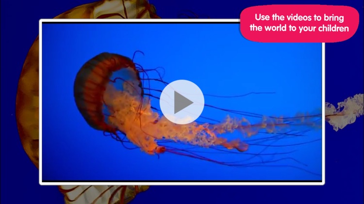 ABC Aquarium screenshot-4