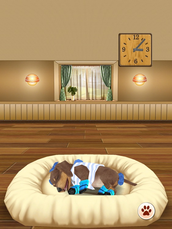 My Dog My Room HD