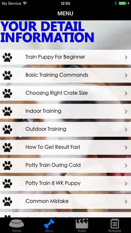 How To Potty Training A Puppy - Complete Guide